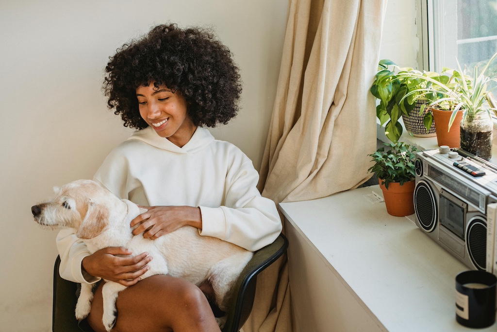 Podcasts and Audiobooks Can Help You Become a Better Dog Owner